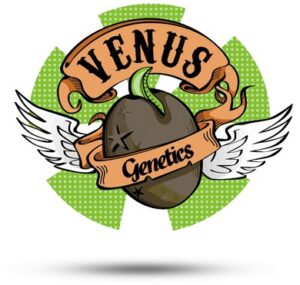 venus genetics