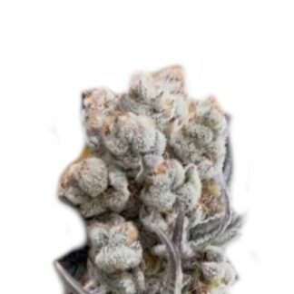 Alien OG