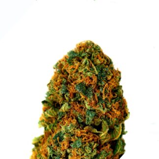 BubbleGum