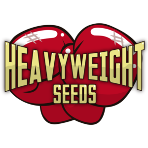 heivyweight seeds