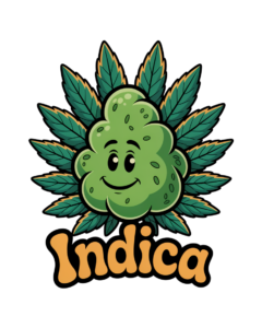 graines indica