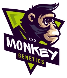 Monkey genetics