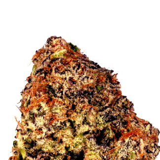 Purple Punch Auto