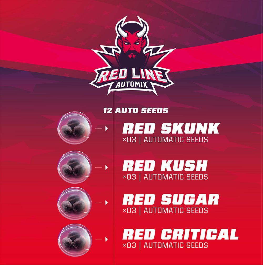 12 GRAINES FEM - RED LINE AUTOMIX