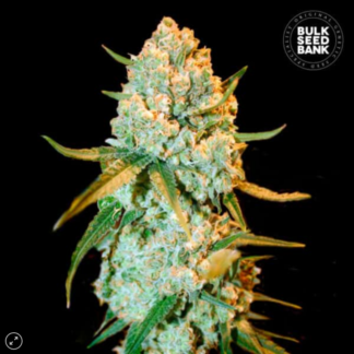 SPECIAL CRYSTAL HAZE