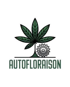 graines autofloraison