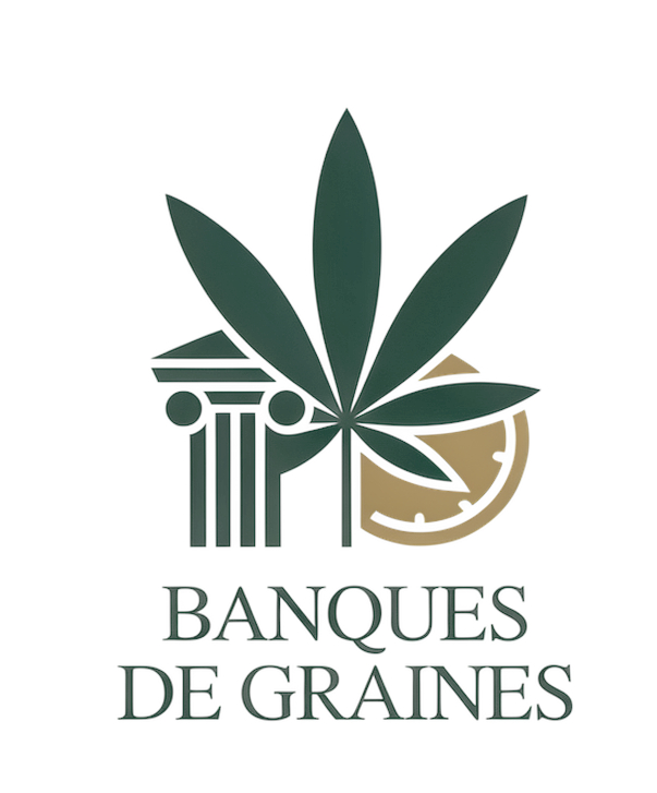 meilleures banques de graines de cannabis
