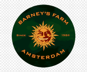 barneys farm