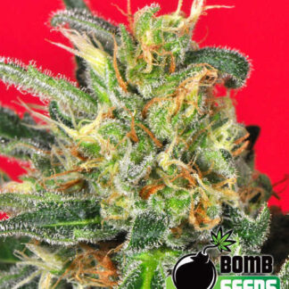 cluster-bomb