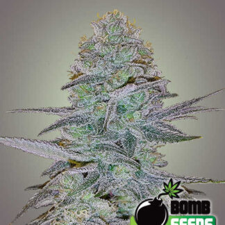 cosmic-auto