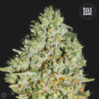 critical