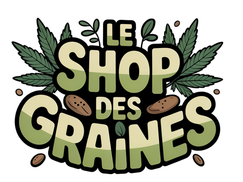 GRAINES DE CANNABIS
