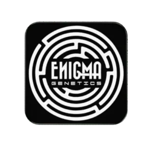 enigma genetics