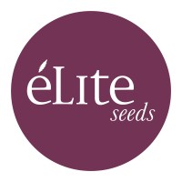 elite seeds