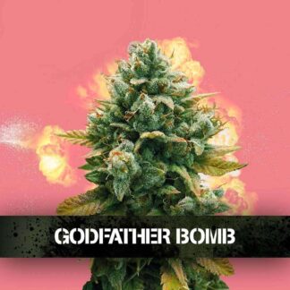 GODFATHER BOMB