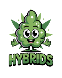 cannabis hybrides
