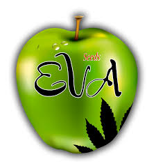 eva seeds