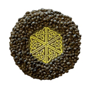 mandala seeds