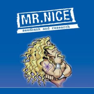 mr nice seeds