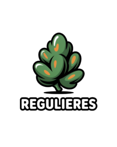 graines cannabis regulieres