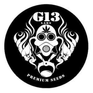 g13 labs