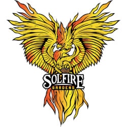 solfire garden seeds