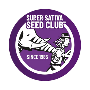 super-sativa-seed-club