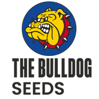 the-bulldog-seeds